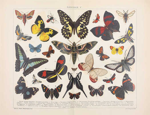 Новый энциклопедический словарь / Издается под общей редакцией почетного академика К.К. Арсеньева. [В 29 т.]. Т. 1—8, 11—29. СПб.: Тип. АО «Брокгауз-Ефрон», [1911—1916].